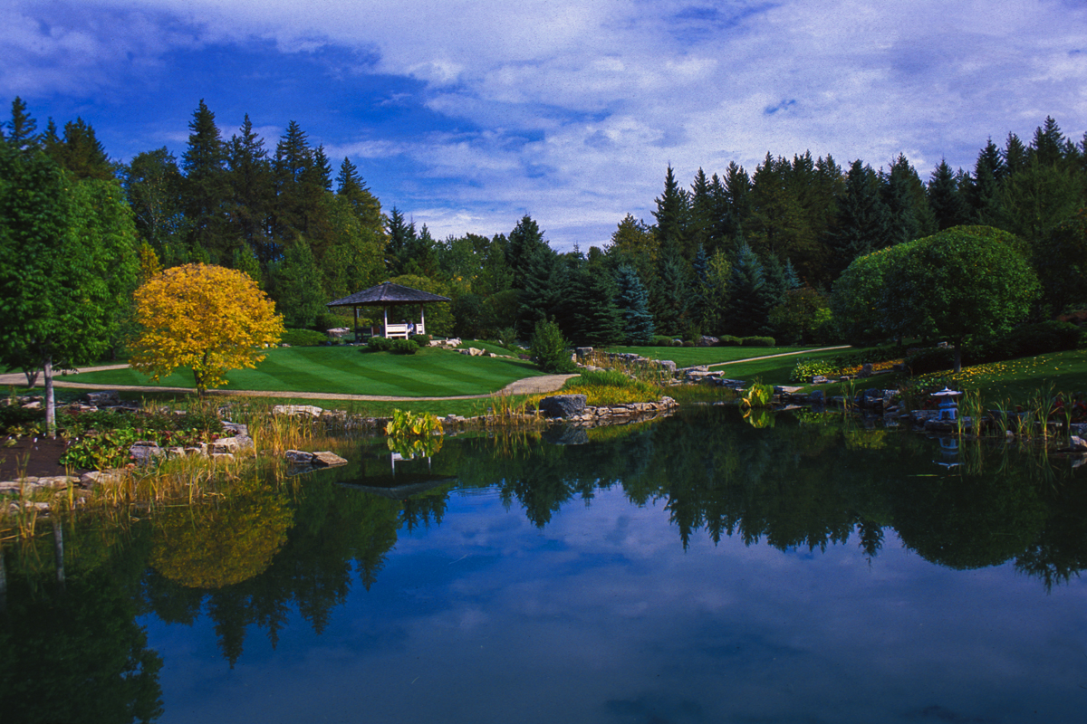 image: japanese garden